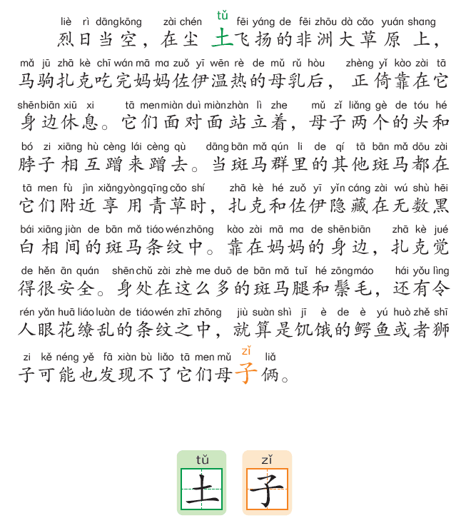 图片44