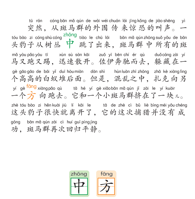 图片46