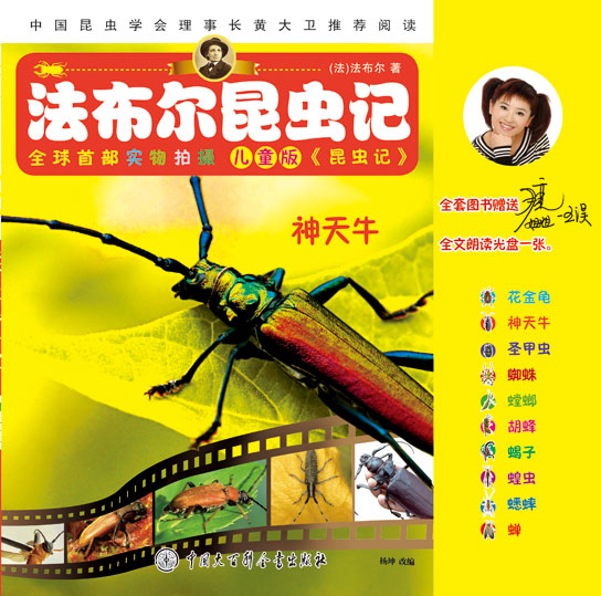 《神天牛》