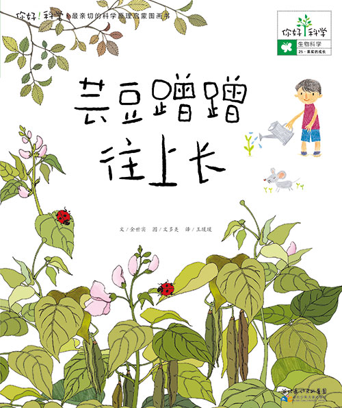 《芸豆蹭蹭往上长》