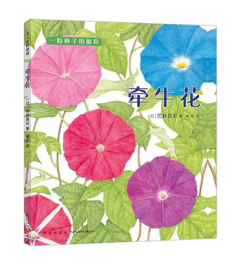 《牵牛花》