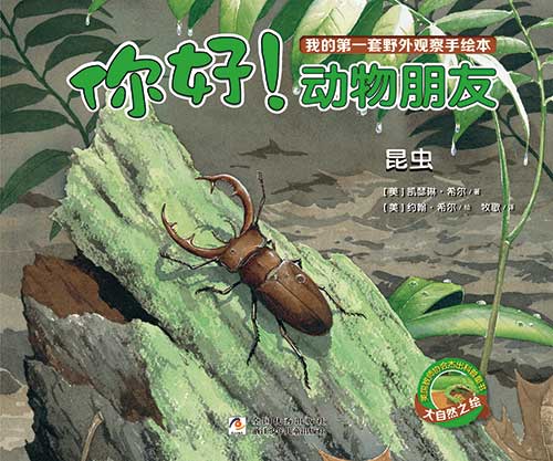 《你好!动物朋友·昆虫》