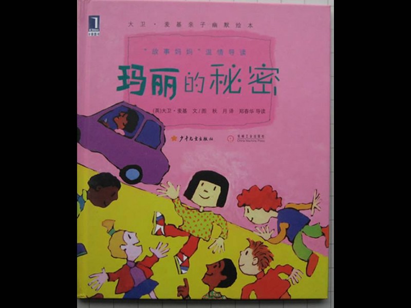 《玛丽的秘密》