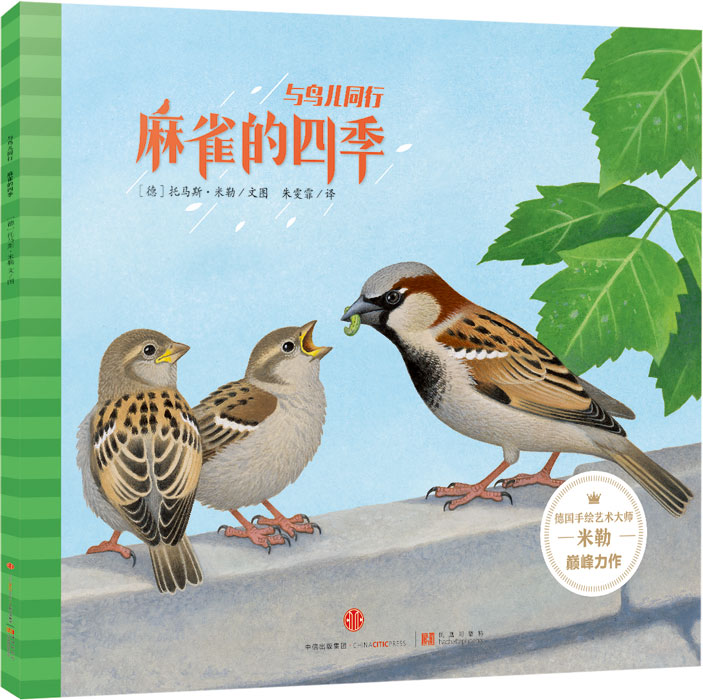 《与鸟儿同行•麻雀的四季》