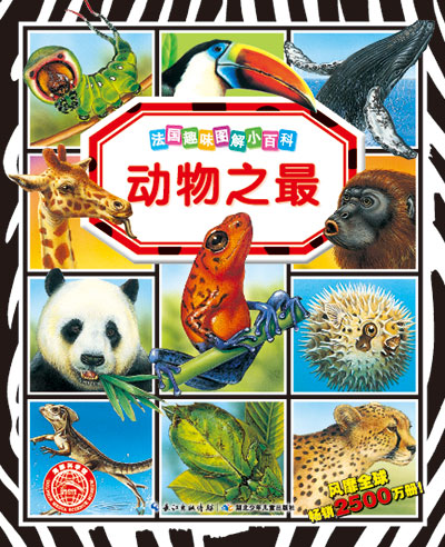 《动物之最-海豚传媒》