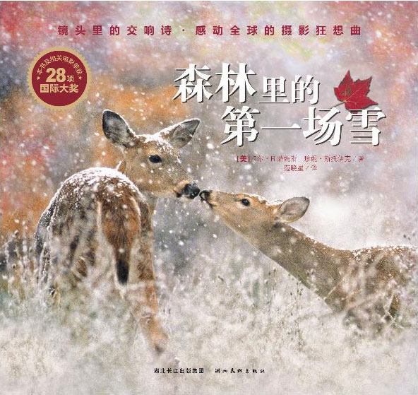 《森林里的第一场雪》