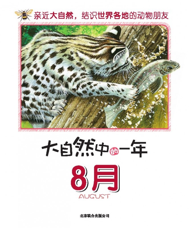 《大自然中的一年.8月》