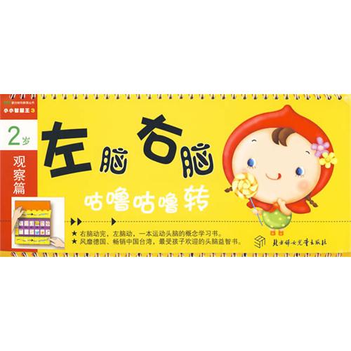 《左脑右脑:咕噜咕噜转-观察篇》