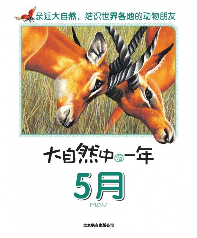 《大自然中的一年.5月》