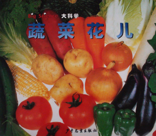 《蔬菜花儿》