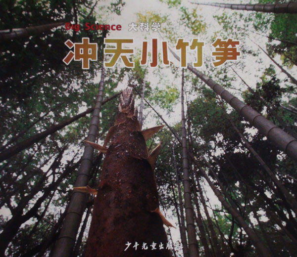 《冲天小竹笋》