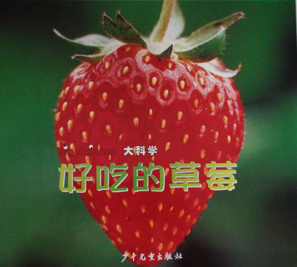 《好吃的草莓》