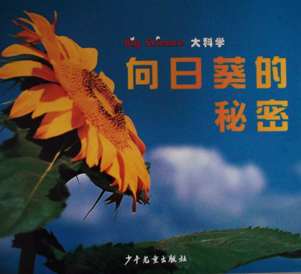 《向日葵的秘密》