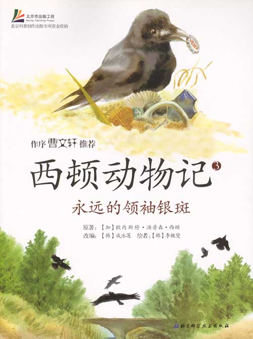 《永远的领袖银斑》