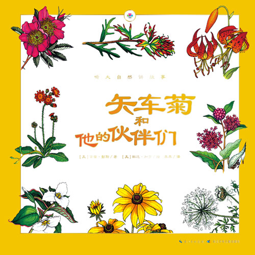 《矢车菊和他的伙伴们》