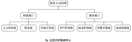 组织结构