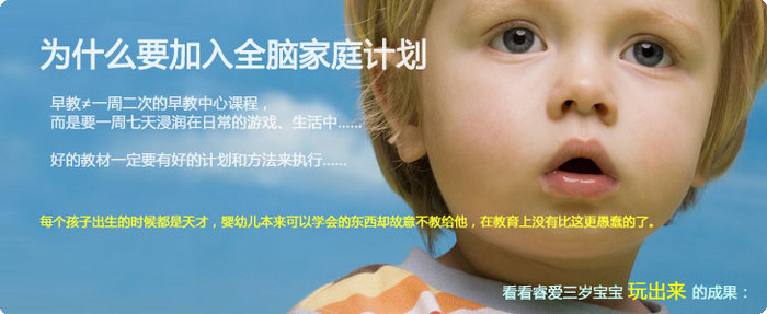 全脑计划