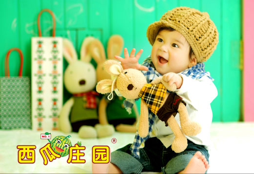 百天照